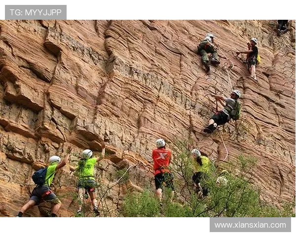 上海城市马拉松评析:攀岩队员的速度与耐力表现探讨 上海城市马拉松评析:攀岩队员的速度与耐力表现探讨