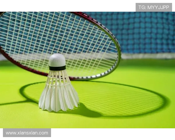 南京羽毛球队防反战术革新探索与实践的深度分析 南京羽毛球队防反战术革新探索与实践的深度分析