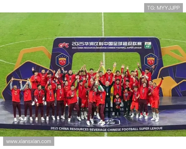 武汉足球队实力强劲荣登全国足球实力排行榜第八位 武汉足球队实力强劲荣登全国足球实力排行榜第八位