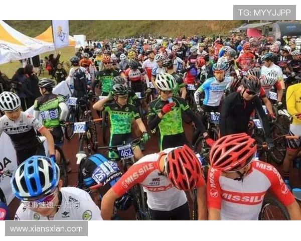 深圳排球队精英赛状态分析与表现评估全景回顾