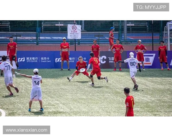 深圳飞盘队的奋斗历程与成长故事全景纪实