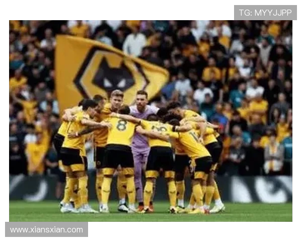 加的夫城与狼队激战成和比分揭晓精彩瞬间回顾 加的夫城与狼队激战成和比分揭晓精彩瞬间回顾