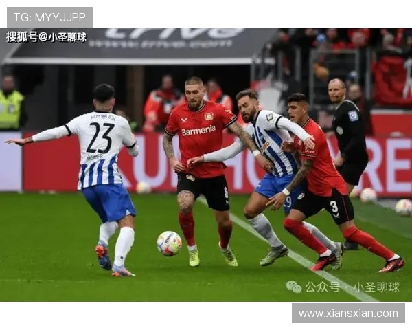 威科姆与巡游者对决前瞻分析及比赛结果预测