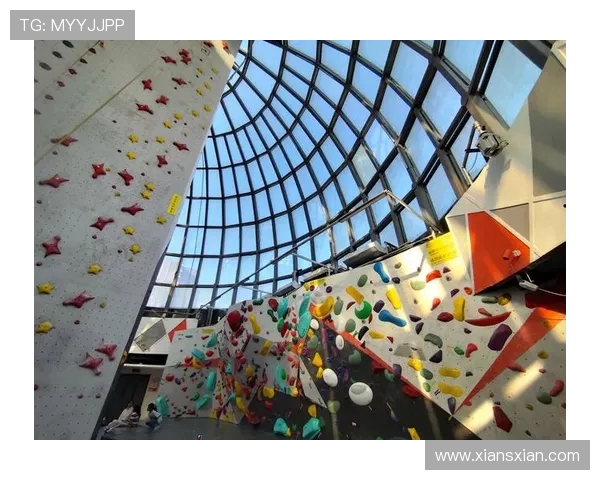 上海攀岩队个人能力提升之路与热议攀岩的未来发展探讨