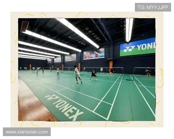 从零基础到羽毛球高手的全面提升指南与实战技巧分享