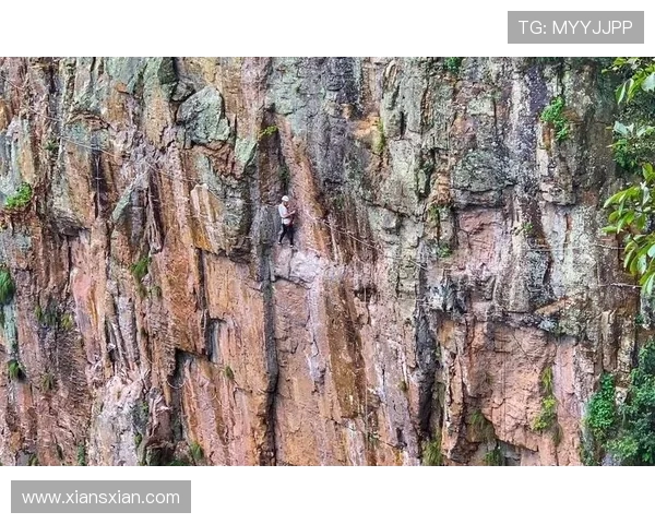 北京极限运动队在世界攀岩锦标赛中以84分稳居积分榜首位